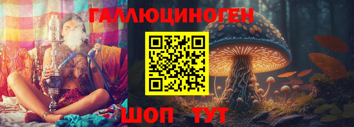 Ирбит  Галлюциногенные грибы Psilocybine cubensis  Псилоцибиновые грибы Psilocybine cubensis  Вход с VPN 